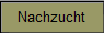 Nachzucht