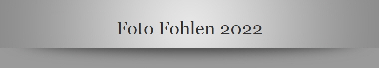 Foto Fohlen 2022