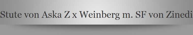 Stute von Aska Z x Weinberg m. SF von Zinedine
