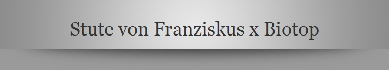 Stute von Franziskus x Biotop