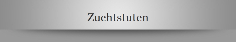 Zuchtstuten